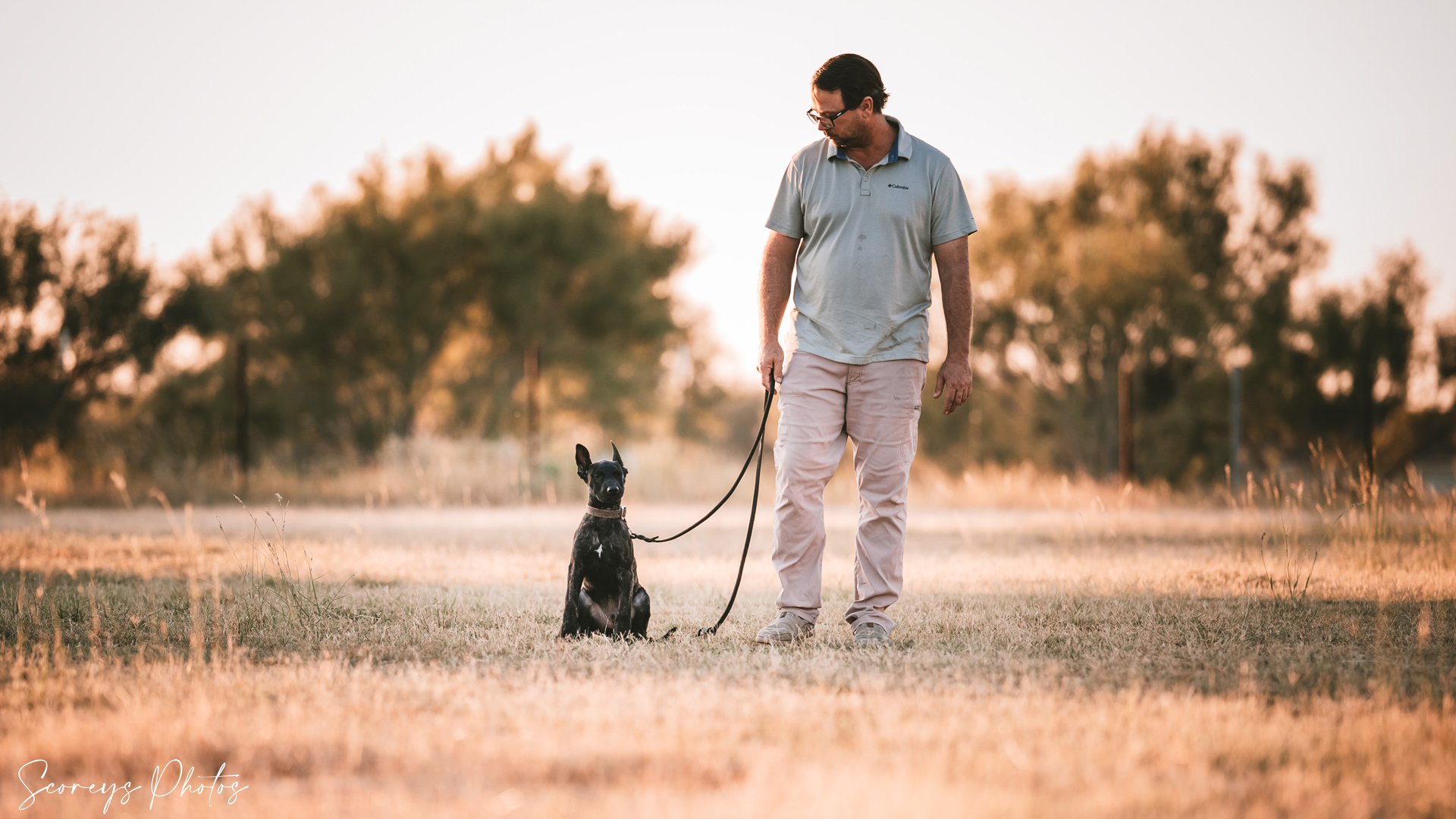 dog training services